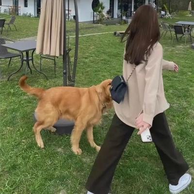 行尸之惧第七季
